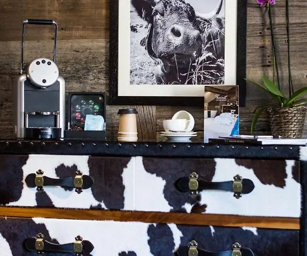 酒店 法里内特酒店