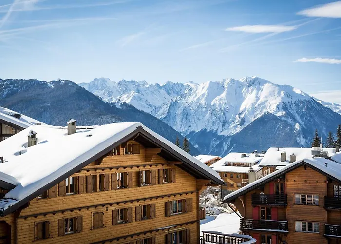 法里内特酒店 3* 韦尔比耶
