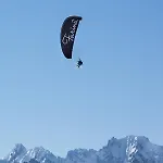 Farinet